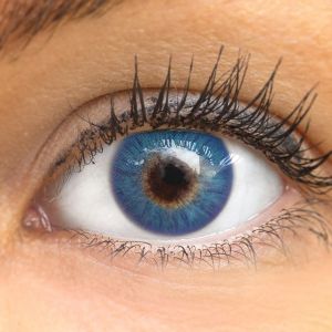 Farbige blaue, braune Catania N Blue von GLAMLENS