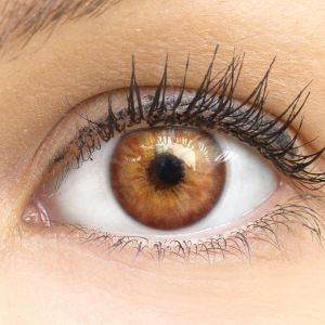 Nahaufnahme der Choco Kontaktlinsen, 14mm – weiche, natürliche und stark deckende Silikon-Hydrogel-Linsen für einen intensiven braune Augenlook.