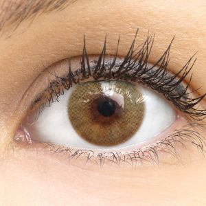 &#128293;Final Sale&#128293; Grüne Kontaktlinsen - Venedig Green | Premium Comfort | Stark deckend | DIA 14.00 - ohne Stärke | 1 Paar (2 Stück) von GLAMLENS