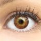 Farbige braune Premium Kontaktlinsen in Cagliari Brown von GLAMLENS