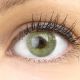 Nahaufnahme der Jasmine Green Kontaktlinsen, 14mm – weiche, natürliche und stark deckende Silikon-Hydrogel-Linsen für einen intensiven grünen Augenlook.