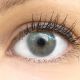 Farbige Premium Kontaktlinsen in Limone Blue von GLAMLENS