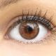 Farbige Premium Kontaktlinsen in Marsala Brown von GLAMLENS