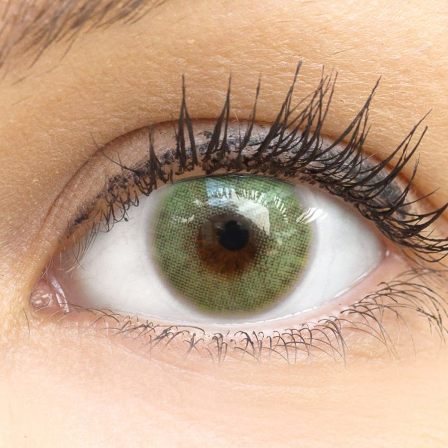 Grüne Kontaktlinsen - Bologna | Premium Comfort | Stark deckend | DIA 14.50 - ohne Stärke | 1 Paar (2 Stück) von GLAMLENS
