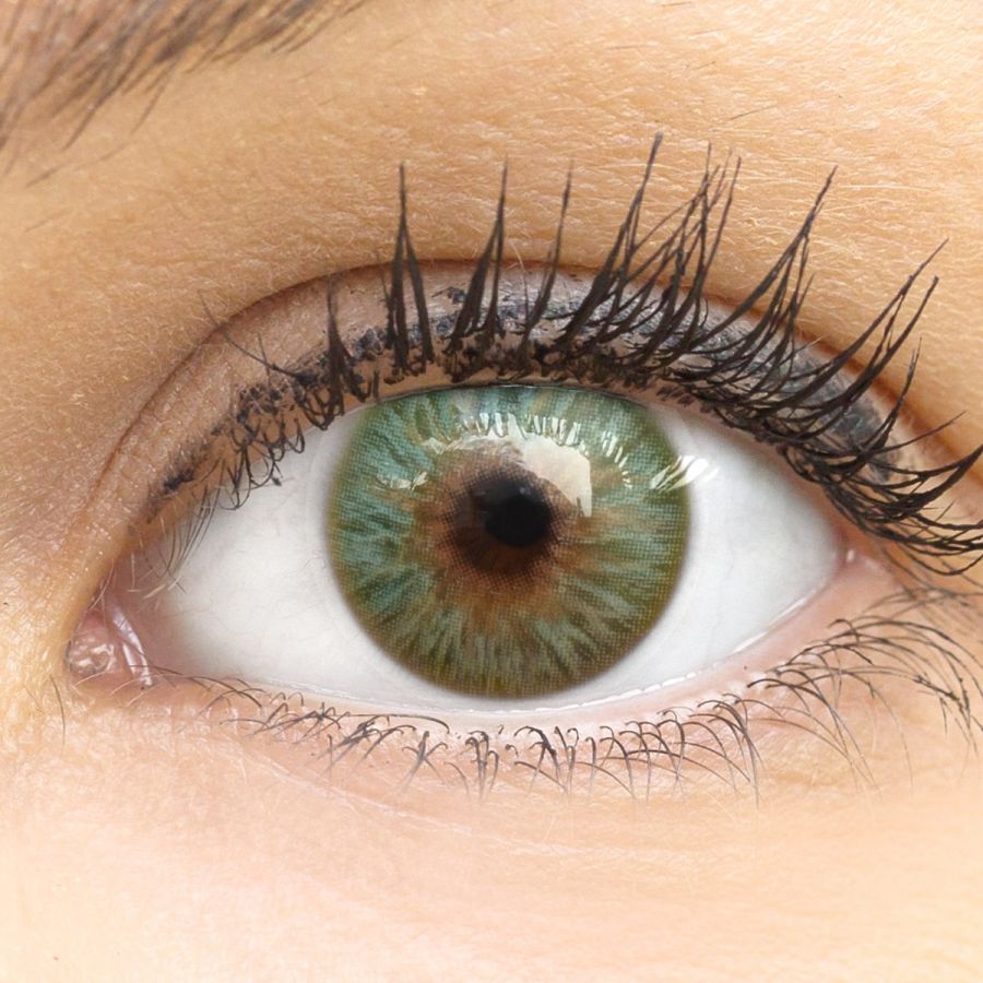 Grüne Kontaktlinsen - Catania Green | Premium Comfort | Stark deckend | DIA 14.20 - ohne Stärke | 1 Paar (2 Stück) von GLAMLENS