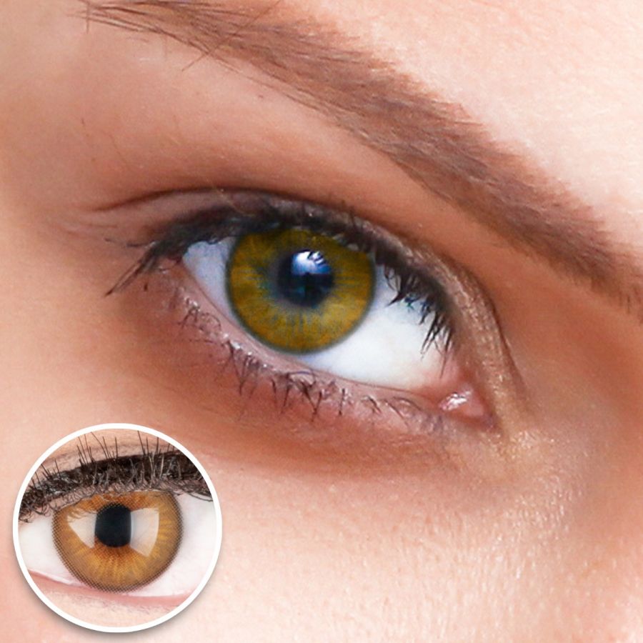 Braune Kontaktlinsen - Elly Brown | Premium Comfort | Stark deckend | DIA 14.00 - ohne Stärke | 1 Paar (2 Stück) von GLAMLENS