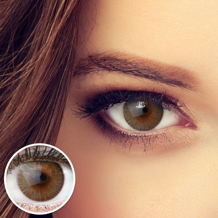 Braune Kontaktlinsen - Verona Brown | Premium Comfort | Stark deckend | DIA 14.20 - ohne Stärke | 1 Paar (2 Stück) von GLAMLENS