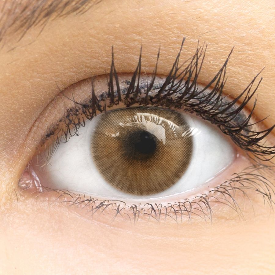 Braune Kontaktlinsen - Limone Brown | Premium Comfort | Stark deckend | DIA 14.00 - ohne Stärke | 1 Paar (2 Stück) von GLAMLENS