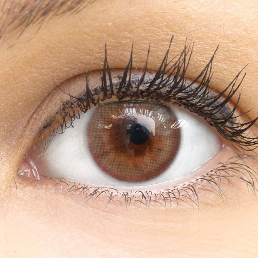 Braune Kontaktlinsen - Marsala Brown | Premium Comfort | Stark deckend | DIA 14.00 - ohne Stärke | 1 Paar (2 Stück) von GLAMLENS