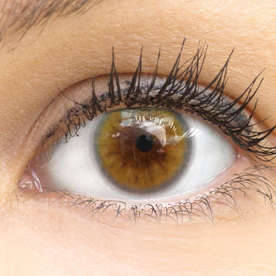 Braune Kontaktlinsen - Sorento Brown | Premium Comfort | Stark deckend | DIA 14.00 - ohne Stärke | 1 Paar (2 Stück) von GLAMLENS