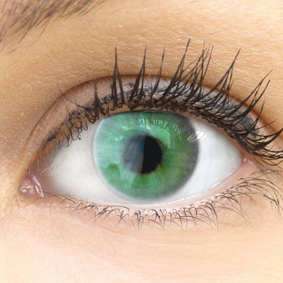 Grüne Kontaktlinsen - Valencia Green | Premium Comfort | Stark deckend | DIA 14.20 - ohne Stärke | 1 Paar (2 Stück) von GLAMLENS