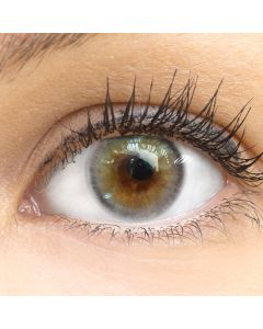 Farbige Premium Kontaktlinsen in Genua Gray von GLAMLENS