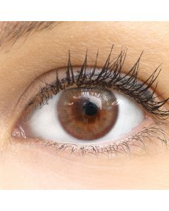 Farbige Premium Kontaktlinsen in Marsala Brown von GLAMLENS