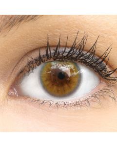 GLAMLENS Farbige Premium Kontaktlinsen in Sorento Brown braun