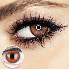 Braune Kontaktlinsen - Mirel Choco | Premium Comfort | Stark deckend | DIA 14.00 - ohne Stärke | 1 Paar (2 Stück) von GLAMLENS